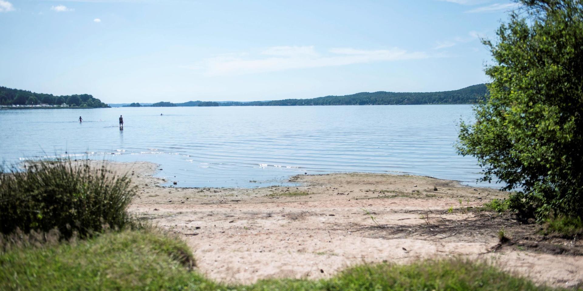 Alingsås kommun avråder från bad vid de kommunala badplatserna Playa Mjörn och Anten vid Gräfsnäs. Orsaken är algblomning.