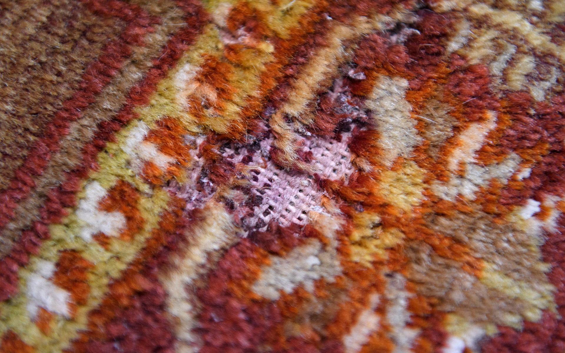 Den här mattan har malen haft ett skrovmål på – luggen av ull är uppäten.