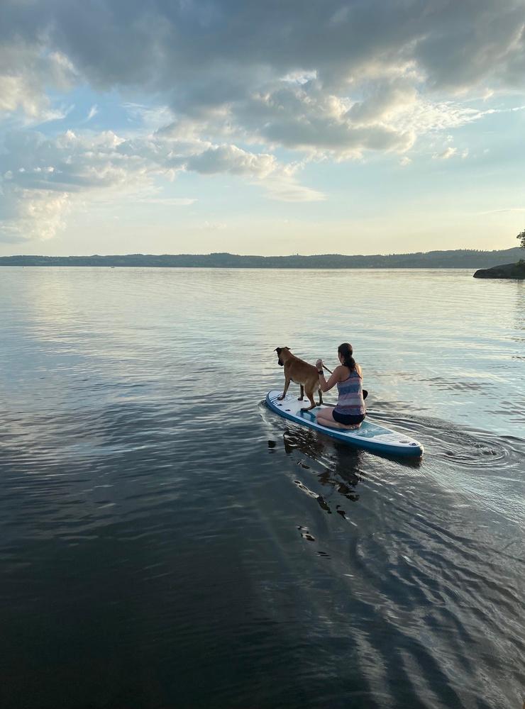 Underbart på sjön med hunden