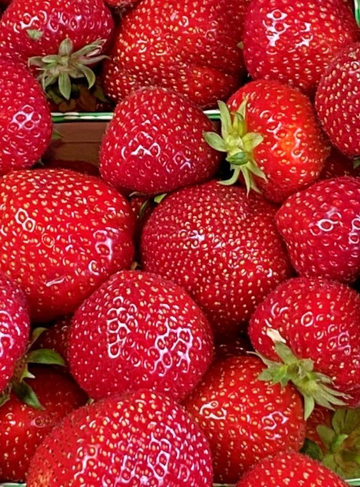 Somriga jordgubbar. ”Finns det något härligare?”
