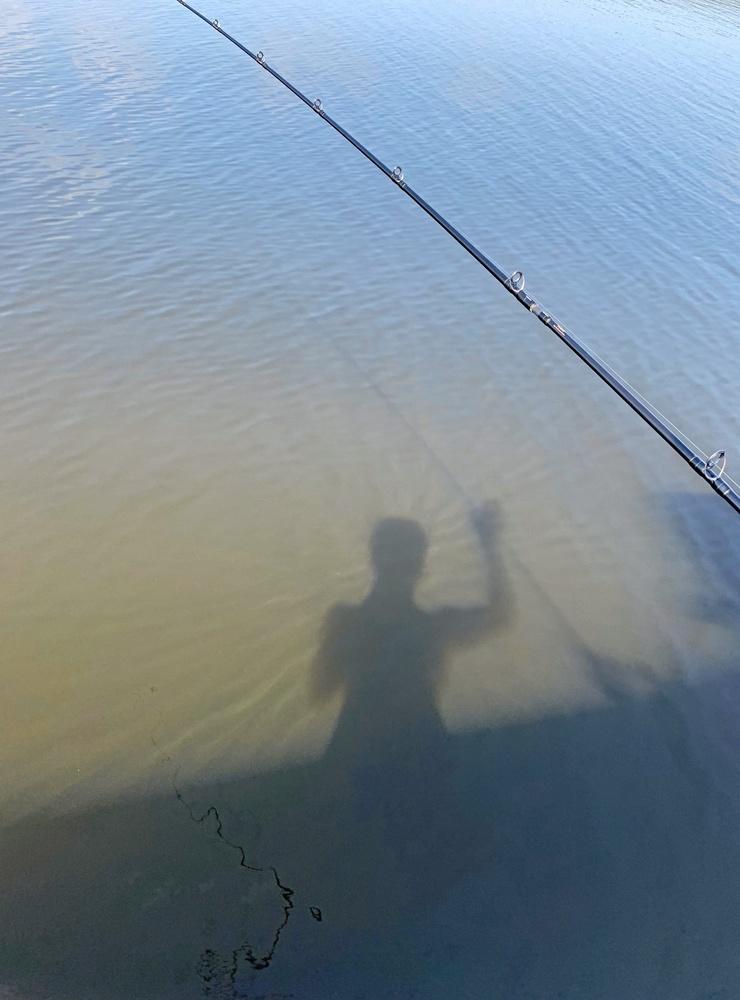 Sommardag på sjön Anten en skugg-hälsning från vår fiske tur.