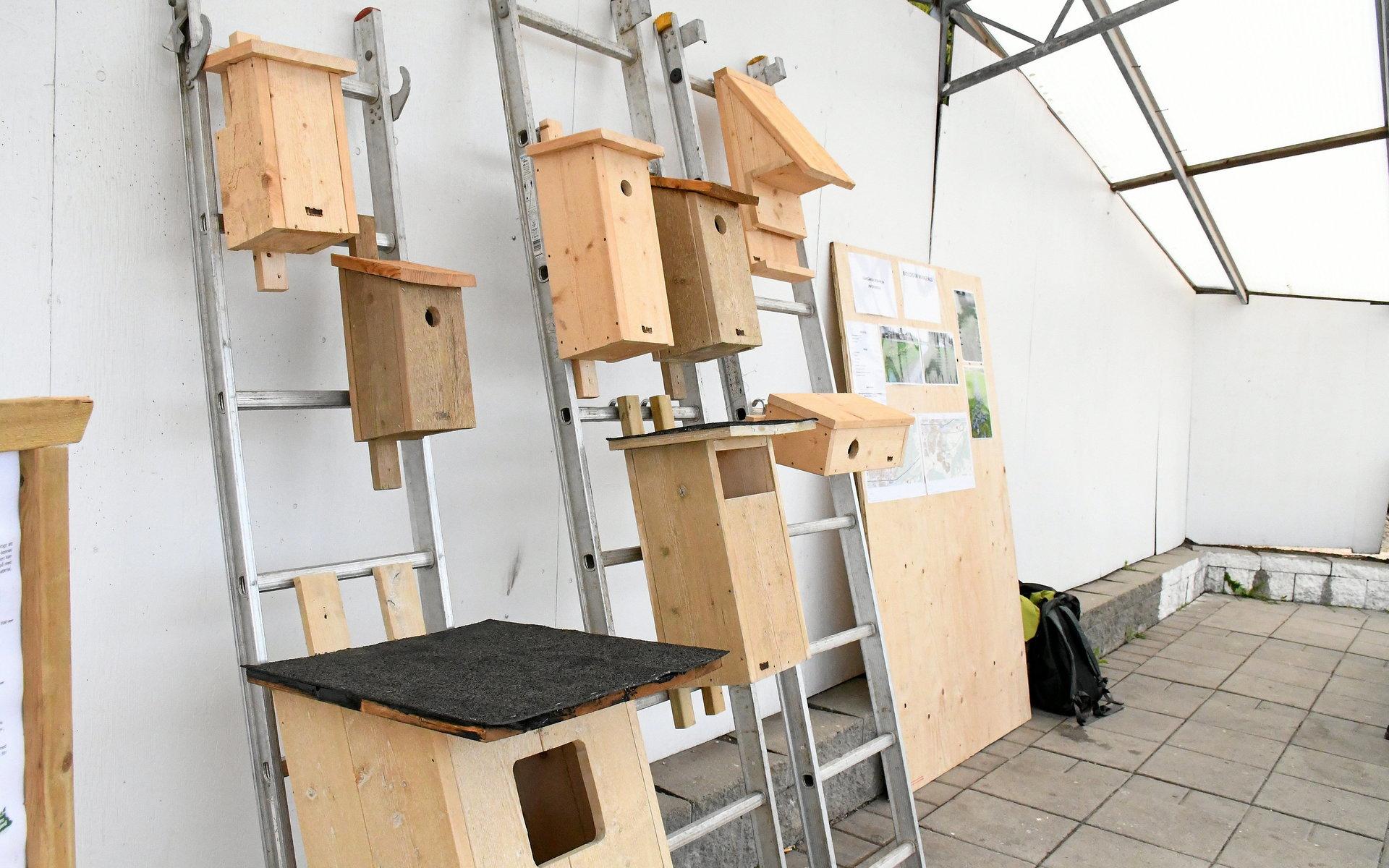 Runt 300 fågelholkar, i olika modeller, har kommunen placerat ut i centrala Vårgårda. Ett sätt att gynna den biologiska mångfalden. 