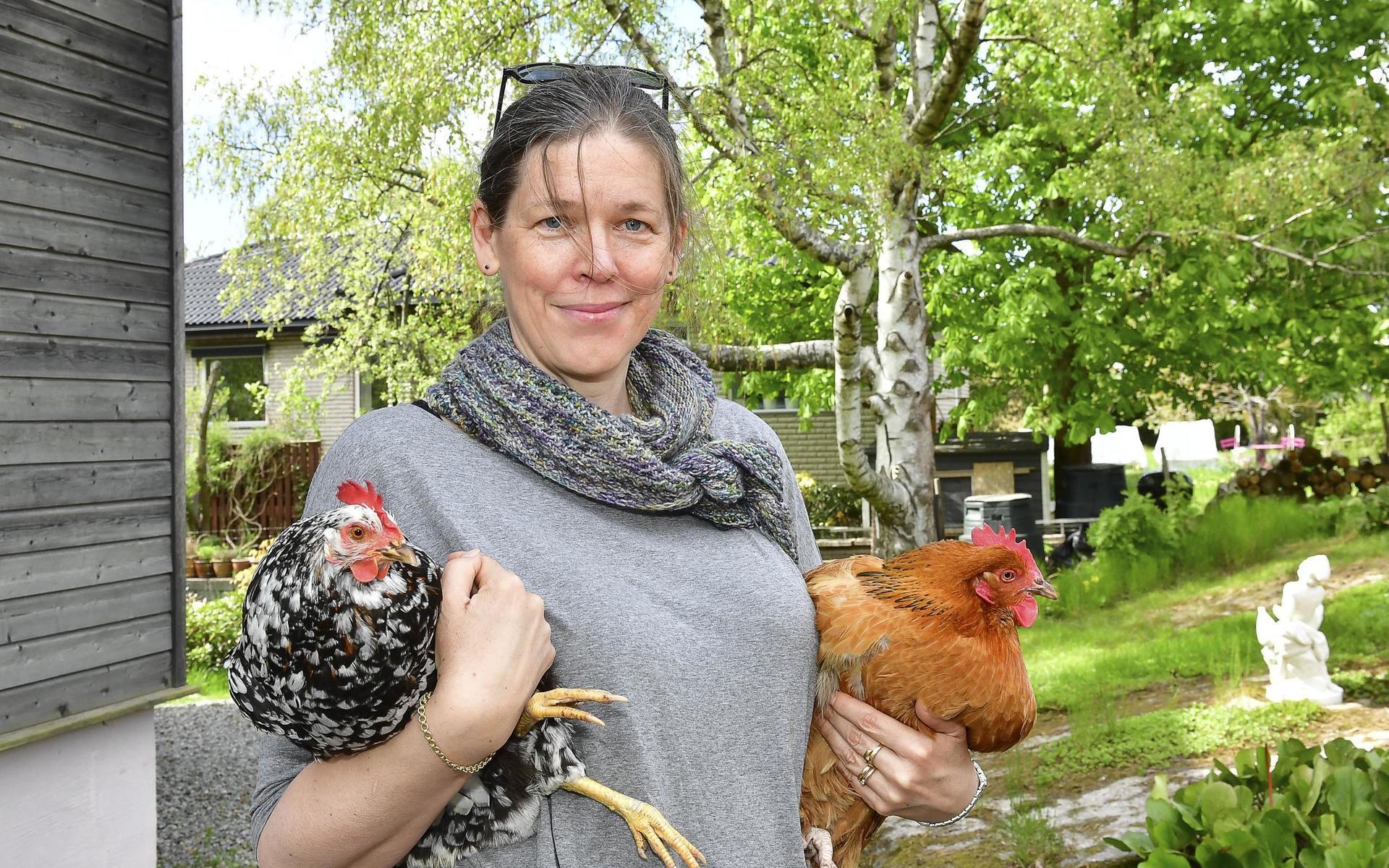 ”Det bästa, förutom världens godaste färska ägg, är att följa samspelet mellan hönorna”, säger Carolina Alm som har haft höns i snart sju år.