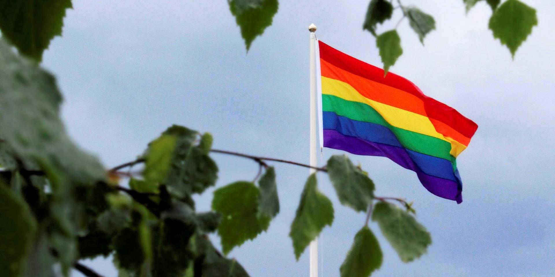 Pride och regnbågsflaggan behövs anser Öppna Moderater.