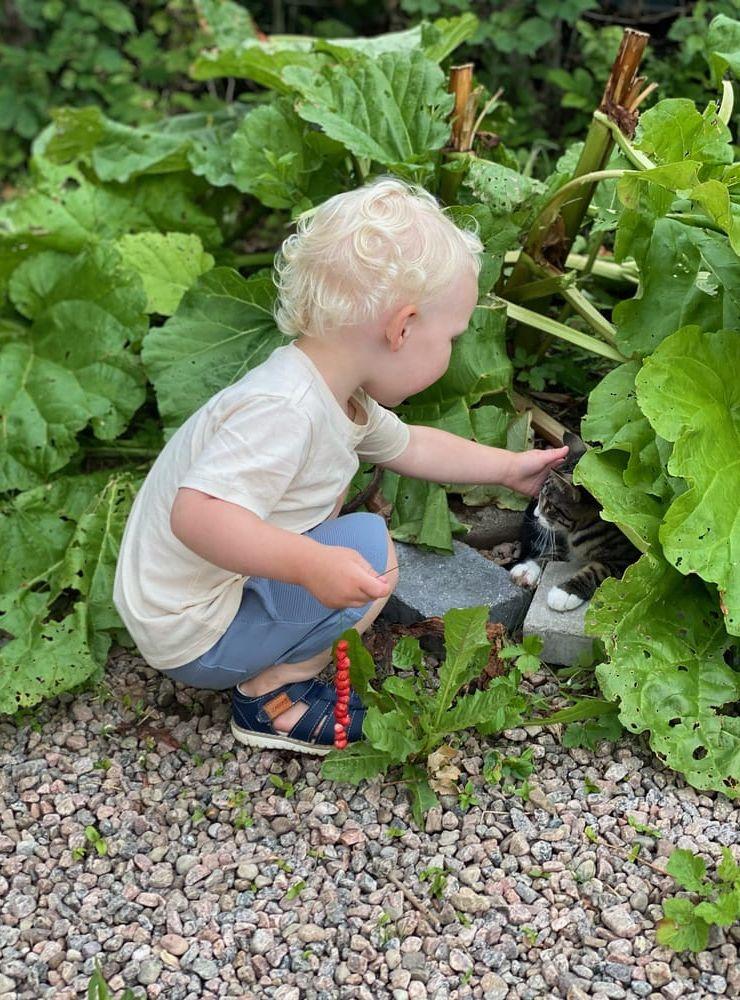 Oskar plockar smultron och hittar en katt, ett riktigt smultronställe för en 2-åring. Sommarlycka! Glad sommar, skriver Sara Theliander Libeck.