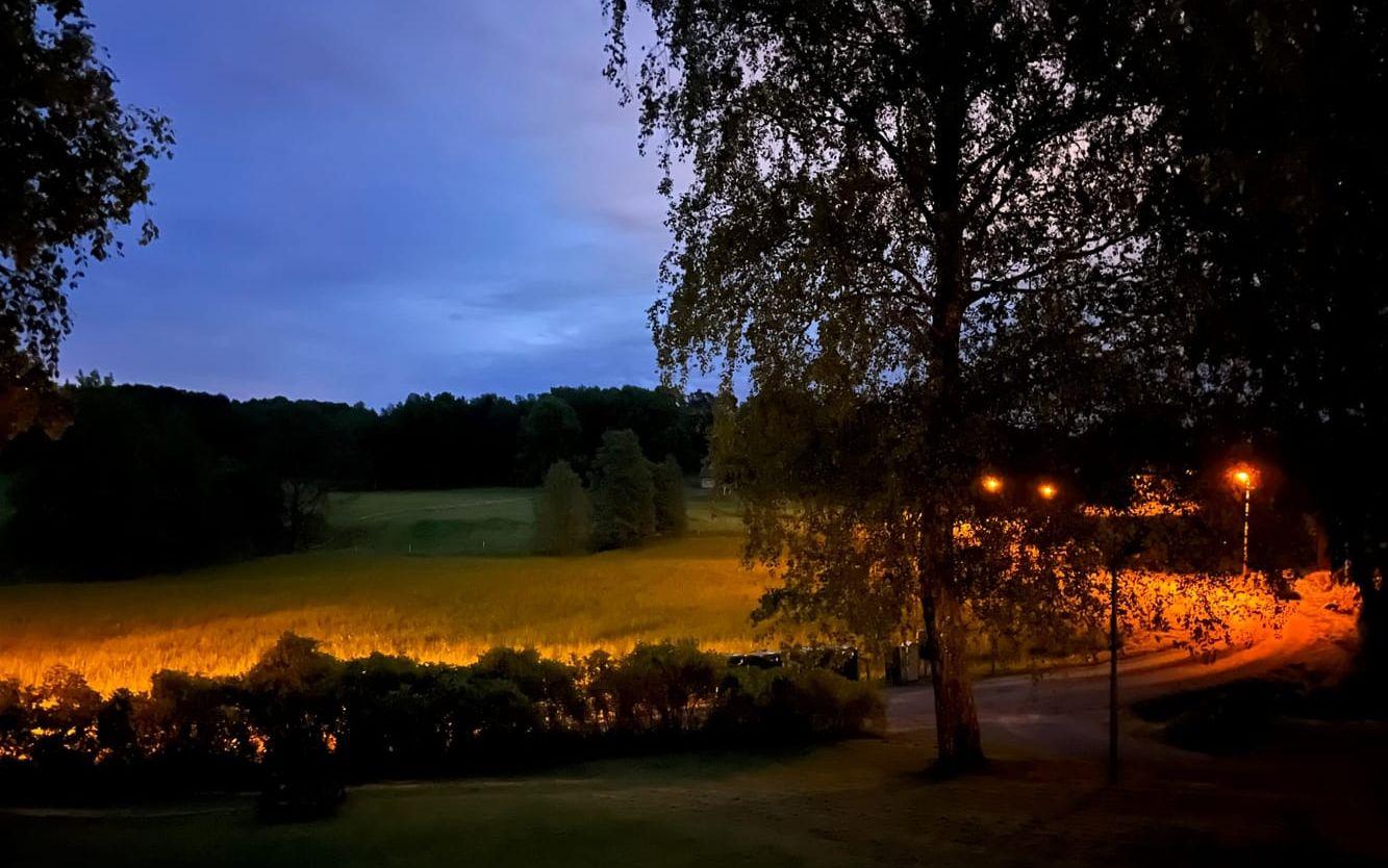 En vacker sommarkväll i Björkekärr hälsar Jesper.