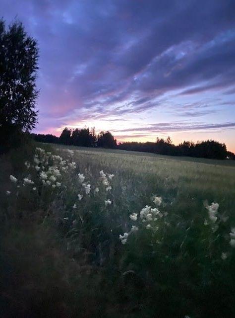 Här är en vacker sommarhimmel som jag tog i Dalarna, skriver Jeanette.
