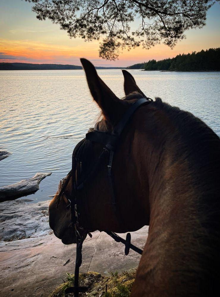 – Tre saker i en och samma bild som är det bästa med sommar - sjön solnedgång från ryggen på hästen, skriver Celii.