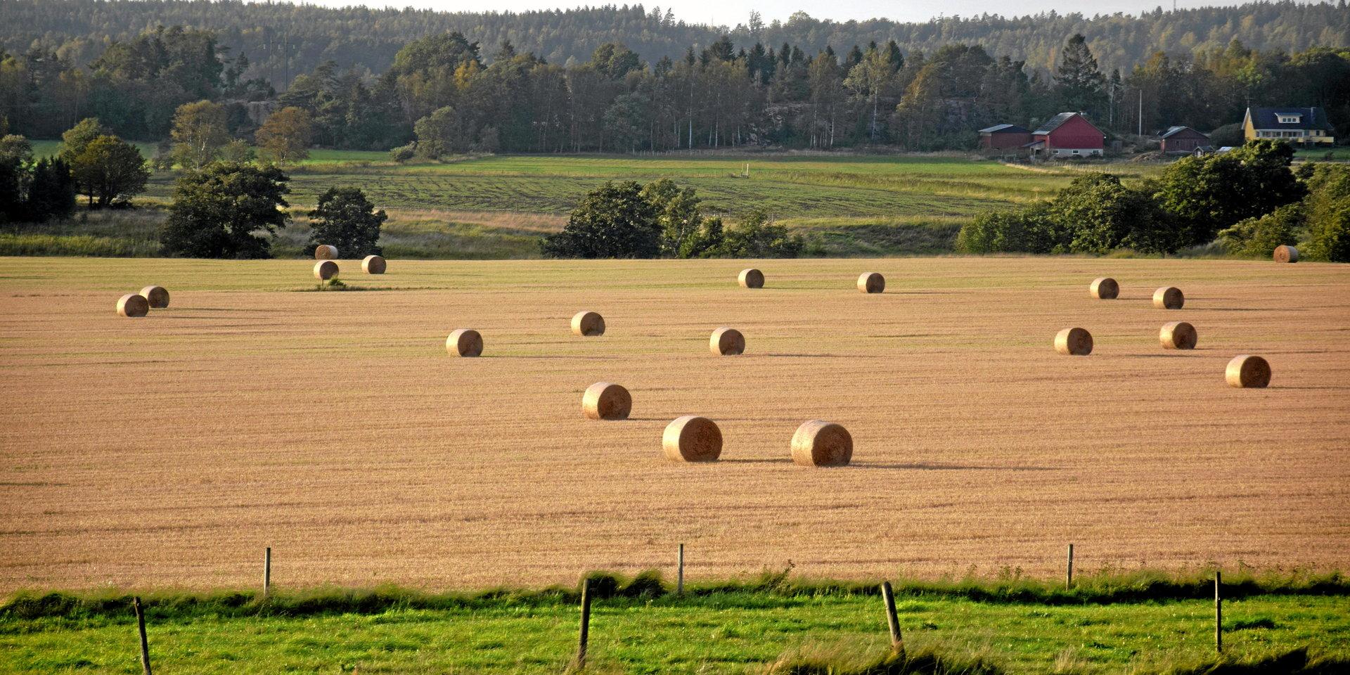 Alingsås Klimatgrupp vill att Alingsås kommun lever upp till sin klimatstrategi och inte bygger på jordbruksmark.